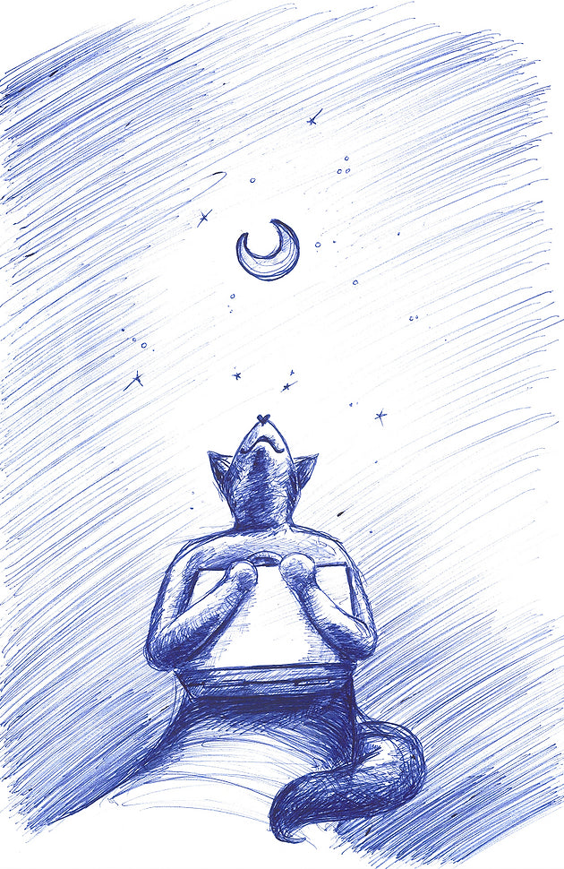 DER BLINDE FUCHS limitierte Auflage