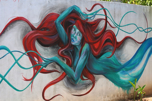 KARMA & THE SEA - Street art in SRI LANKA